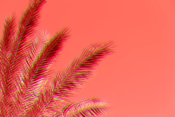 istock Palm Tree Leaf Coral Colorful Summer Tropical Background Glitch Effect Trendy Colors 1168072241