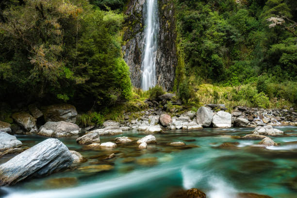 Beauty in Nature
