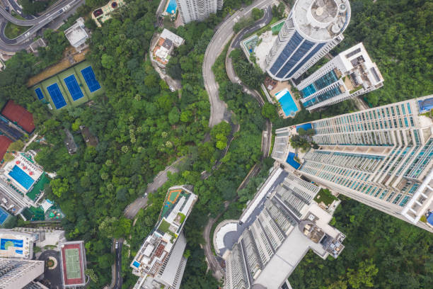 istock Birds Eye of Hong Kong 1168077298
