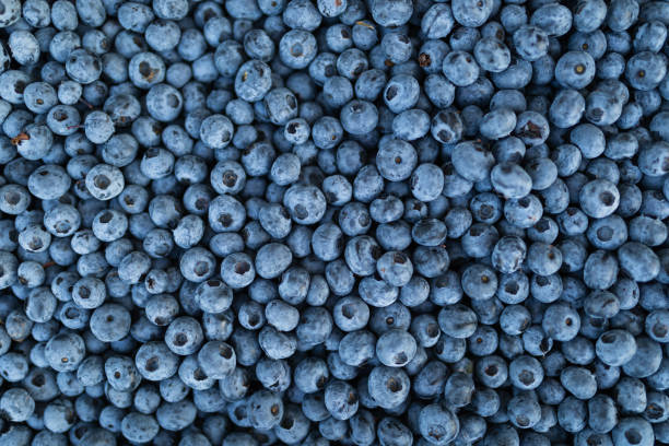 istock Close-up of fresh blueberries 1168089694