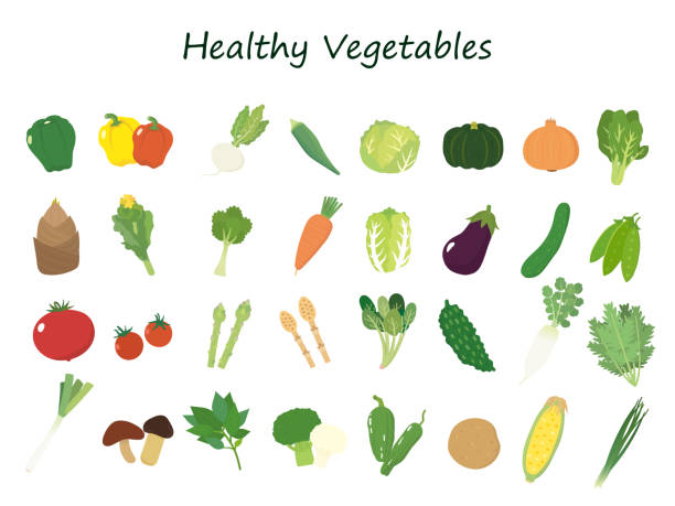 Vegetable set1 It is an illustration of a Vegetables set. cauliflower nutrition stock illustrations