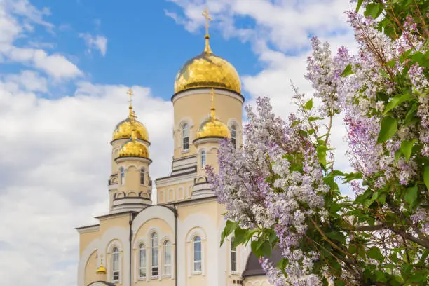 Golden domes of the church and bush of lilac against the sky