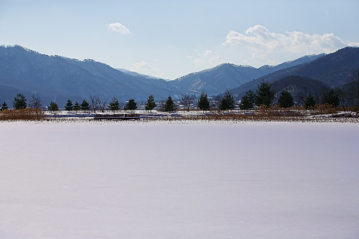 Winter landscape