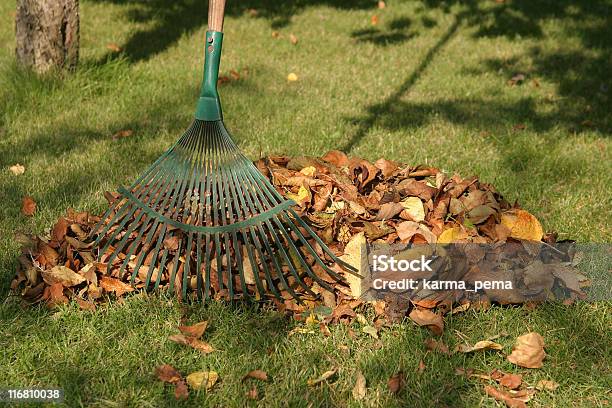 De Otoño Rastrillaje Foto de stock y más banco de imágenes de Aire libre - Aire libre, Color - Tipo de imagen, Fotografía - Imágenes