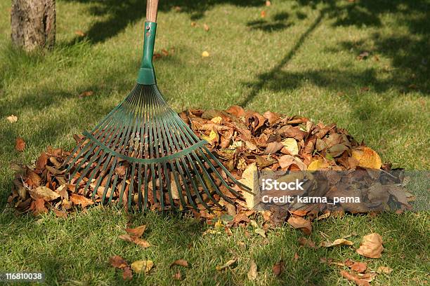 Outono Raking - Fotografias de stock e mais imagens de Ancinho - Equipamento de Jardinagem - Ancinho - Equipamento de Jardinagem, Ao Ar Livre, Folha
