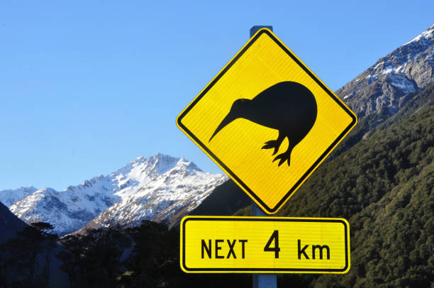 istock watch out for kiwis 1168102356