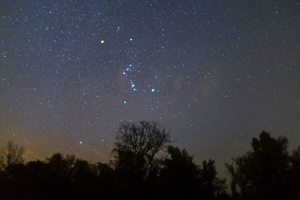 istock Orion constellation above the night forest silhouette 1168108711