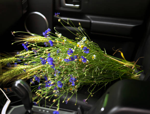 istock Car interior with field flowers 1168110799