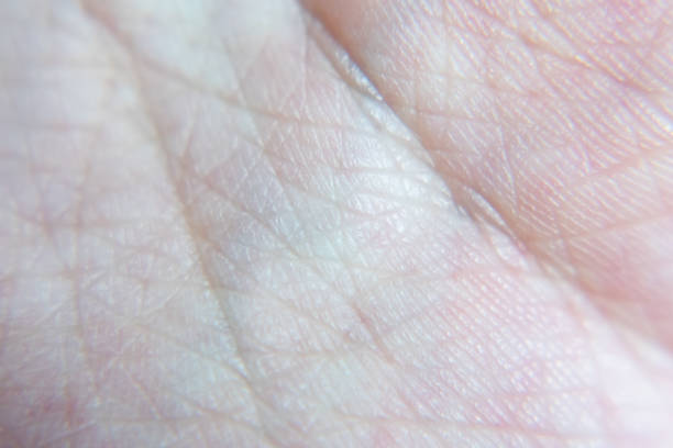 istock Macro shot of Hand palm pattern texture 1168113517