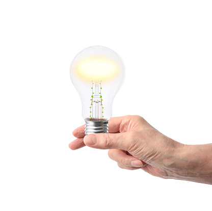 A hand with the illuminated light bulb containing a sprout against white background.
Concept of clean energy and recycling.