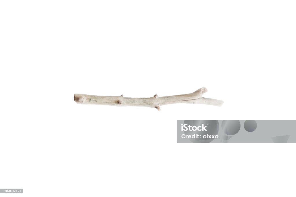 Single dry tree branch. Boho image of stick isolated on white background Dry tree branch. Boho image of stick isolated on white background Stick - Plant Part Stock Photo