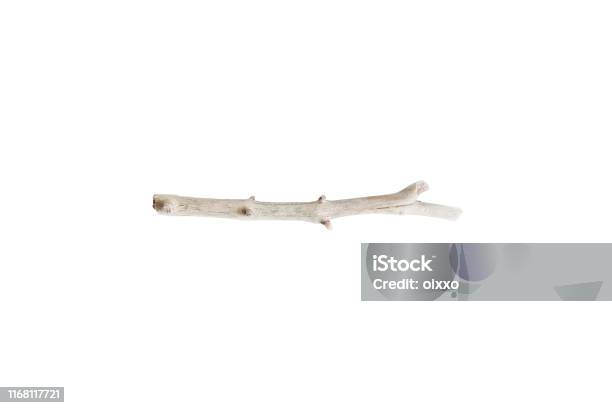 Single Dry Tree Branch Boho Image Of Stick Isolated On White Background Stock Photo - Download Image Now