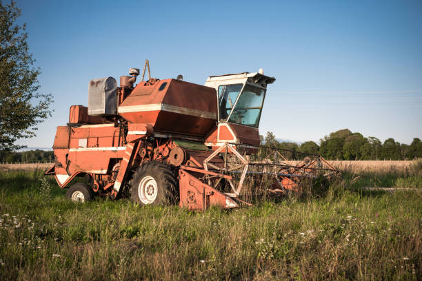 Male farmer driving combine harvester in wheat field