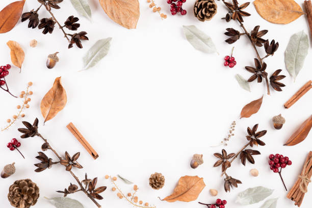 istock Autumn composition. blanket, autumn leaves on white background. Flat lay, top view copy space. 1168118779