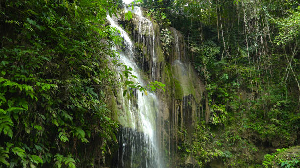 istock Beautiful tropical waterfall Philippines, Cebu 1168119567