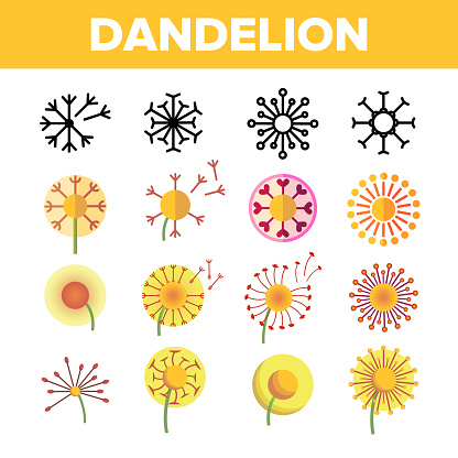 Dandelion, Spring Flower Vector Thin Line Icons Set. Dandelion, Blowball in Blossom Linear Pictograms. Yellow Blooming Flower with Delicate Fluffy Seeds and Pollen Color Symbols Collection