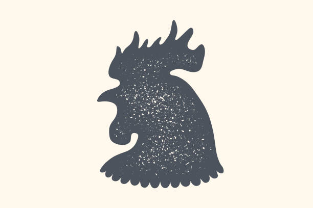 петух, птица. винтаж, ретро печать, плакат для мясника - chicken silhouette animal rooster stock illustrations