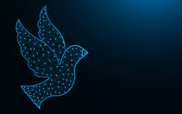 Bird low poly design, animal symbol abstract geometric image, dove wireframe mesh polygonal vector illustration made from points and lines on dark blue background Bird low poly design, animal symbol abstract geometric image, dove wireframe mesh polygonal vector illustration made from points and lines on dark blue background dove earth globe symbols of peace stock illustrations