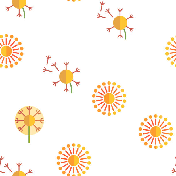 illustrations, cliparts, dessins animés et icônes de dandelion, modèle sans couture de vecteur de fleur de source - dandelion flower yellow vector