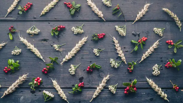 Photo of Autumn pattern with ears of wheat, lingo berries, yarrow flowers on a dark rustic background.