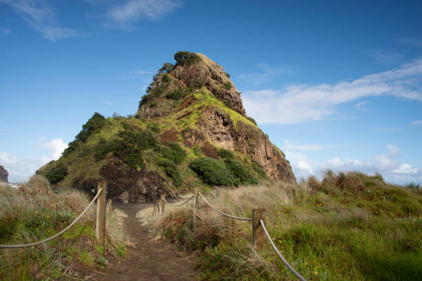 istock Lion Rock at Piha beach, Waitakere 1168130244