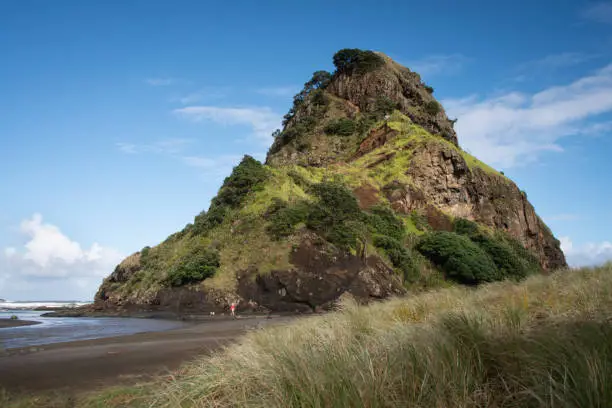 Lion Rock at Piha beach, west Auckland, New Zealand