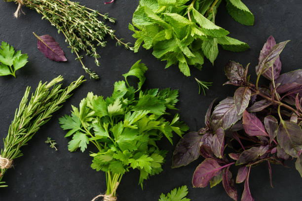 istock Bunches of various fresh herbs on black background. 1168130545