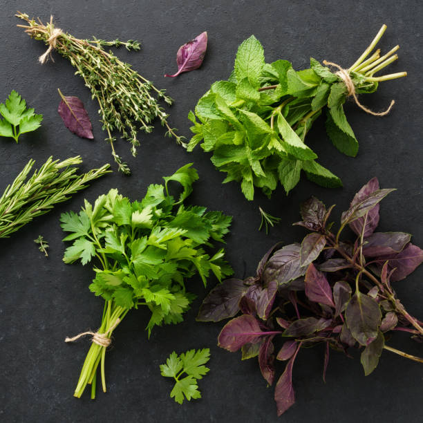 istock Bunches of various fresh herbs on black background. 1168130628