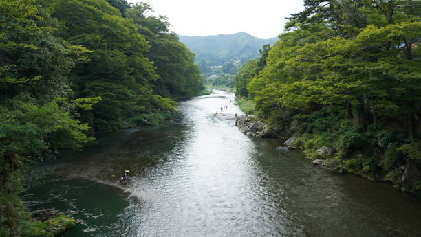 istock Tama river in Summer in Okutama Tokyo 1168131349