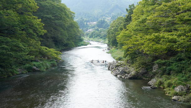 istock Tama river in Summer in Okutama Tokyo 1168131351