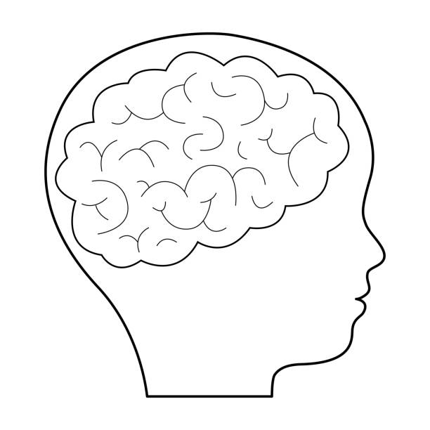 Contour black silhouette human baby face with brain inside. Profile of face child. Brain development, education at young age. Vector illustration Contour black silhouette human baby face with brain inside. Profile of face of child. Brain development at young age. Vector child robot class stock illustrations