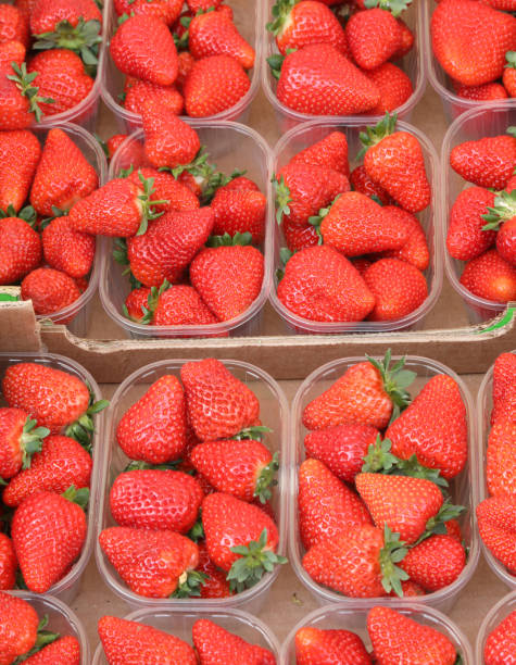 istock many trays of red strawberries 1168133454
