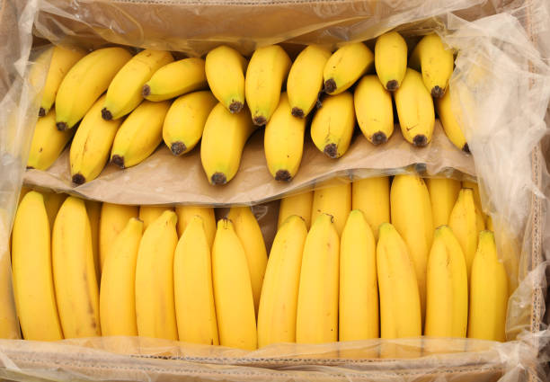 Yellow bananas on the box for sale at market