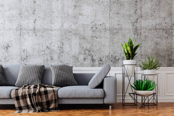 istock 3d beautiful interior with couch and home plant 1168138807
