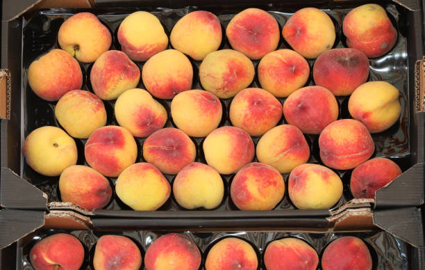 istock box of peaches for sale 1168139859