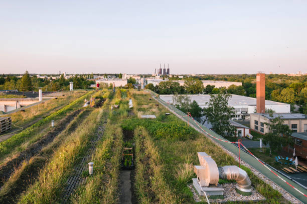 панорамный вид на крышу сада проекта в берлине - vegetable garden urban scene city life community garden стоковые фото и изображения