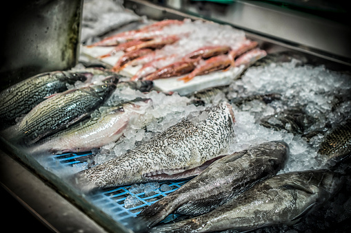 A marketplace stall with various kinds of fish