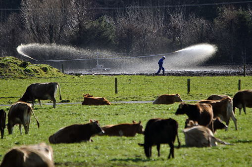 Greymouth, New Zealand, July 16, 2011: Farmer checks his effluent sprayer on a dairy farm in Westland, New Zealand