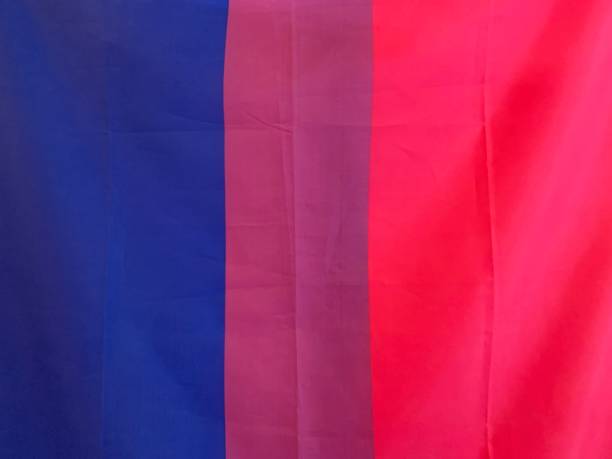 flagge von bisexuals - bi sexual stock-fotos und bilder