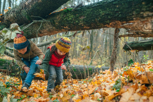istock Happy children enjoying autumn in forest 1168155493
