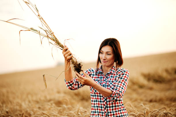 istock Woman examining in the field 1168155535