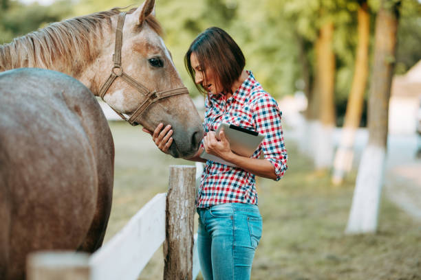 istock Female working on digital tablet in farm horse 1168155945