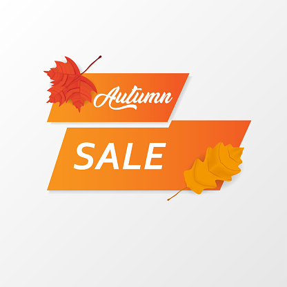 Autumn Sale banner Vector.