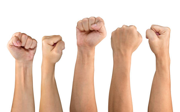 istock Man fist set isolated on white background 1168158696