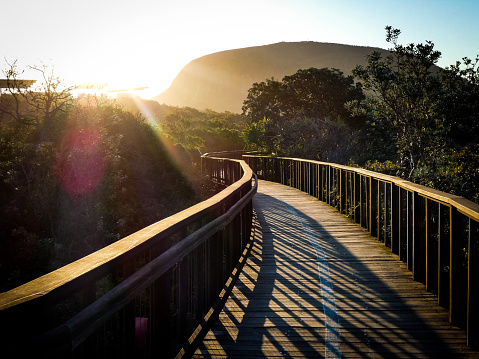 Sunset casts bright light beams and long shadows over the wooden walking trail
