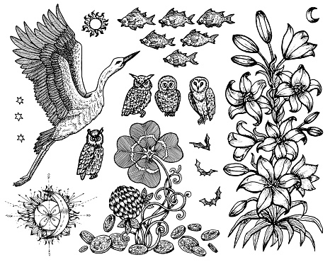 Design set with stork, lily, fish and nature symbols isolated on white. Vector engraved illustration in gothic and mystic style. No foreign language, all symbols are fantasy.