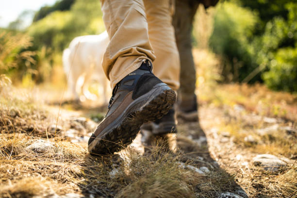 istock Their dog is the leader on hiking 1168166568