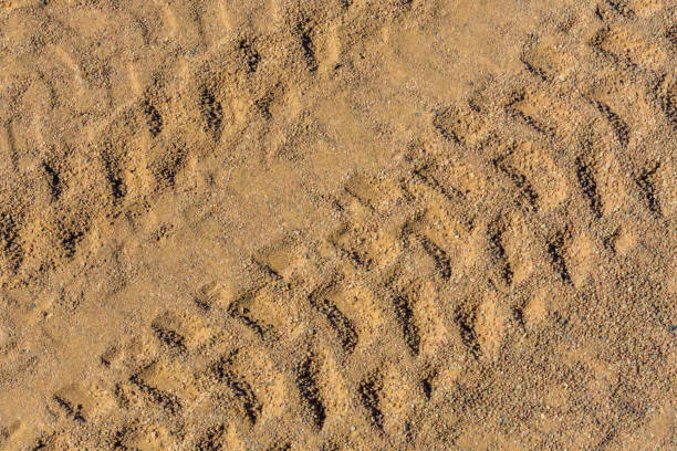 pistes des pneus sur un sable dans le désert - tire track egypt track africa photos et images de collection