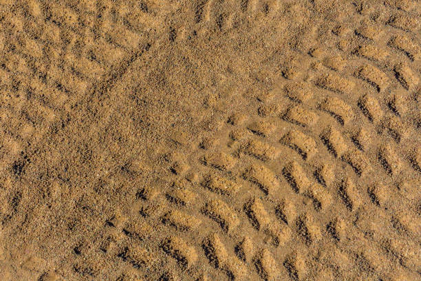 pistes des pneus sur un sable dans le désert - tire track egypt track africa photos et images de collection