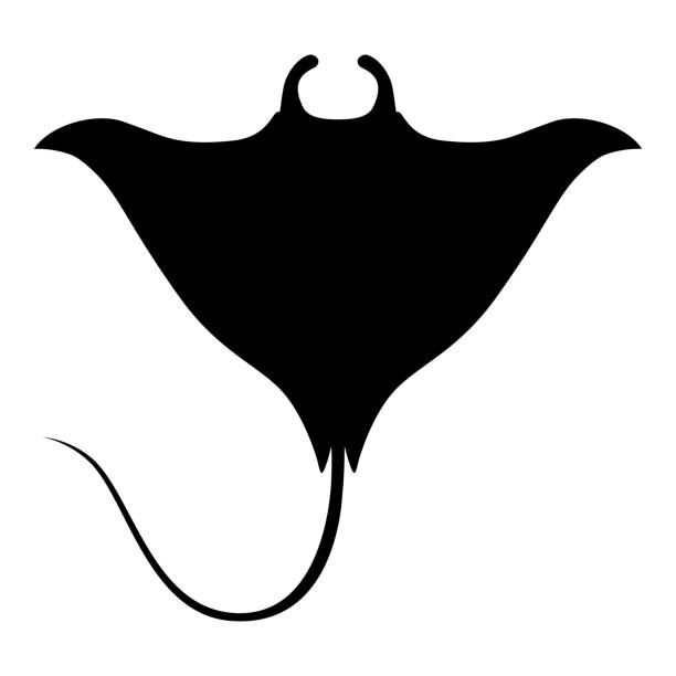 manta-strahl-zeichen - manta ray stock-grafiken, -clipart, -cartoons und -symbole